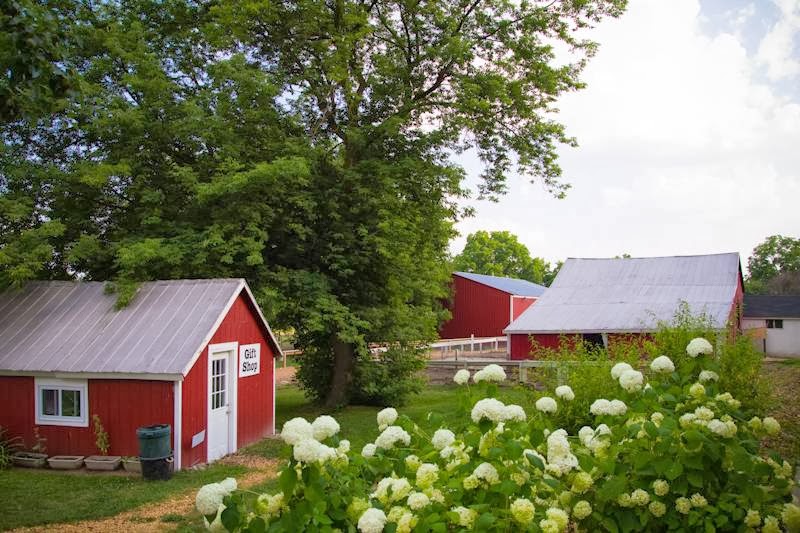 Dawn Farm - Photo 5