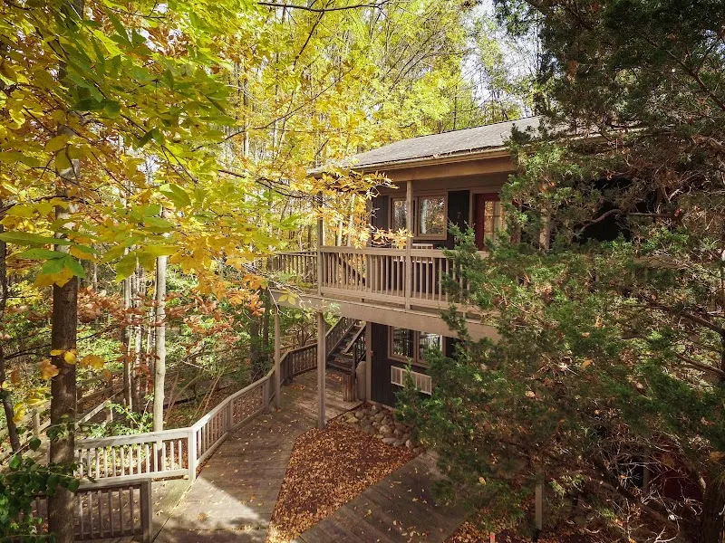 Skywood Recovery - Photo 4