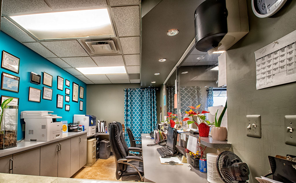 BioMed Behavioral Health Services - Photo 6