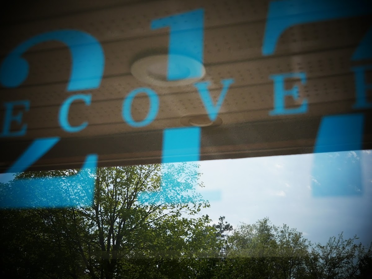 217 Recovery - Photo 5