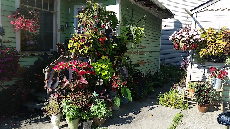 The GreenHouse - Photo 6