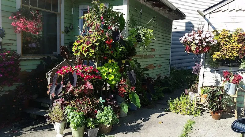 The GreenHouse - Photo 1