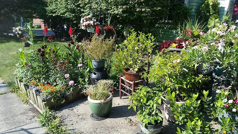 The GreenHouse - Photo 4