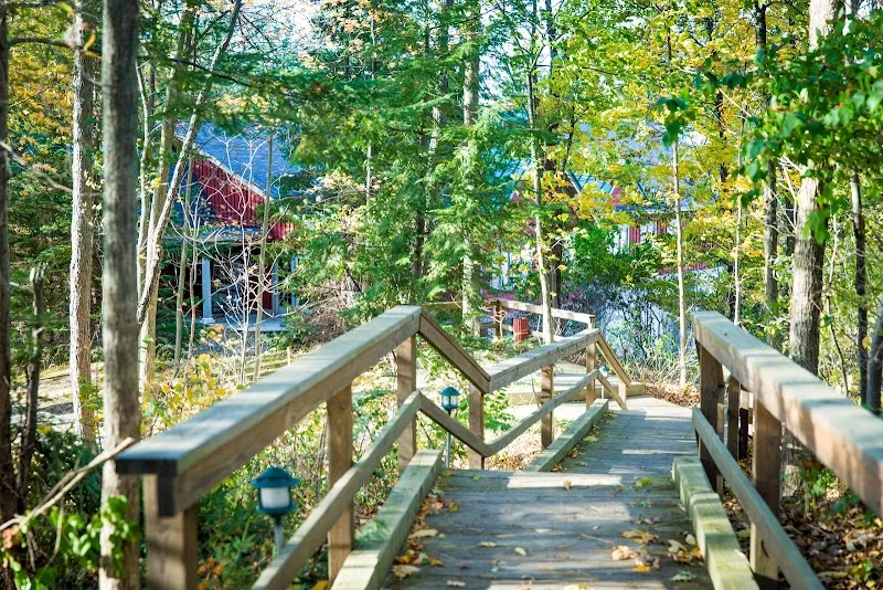 Skywood Recovery - Photo 3