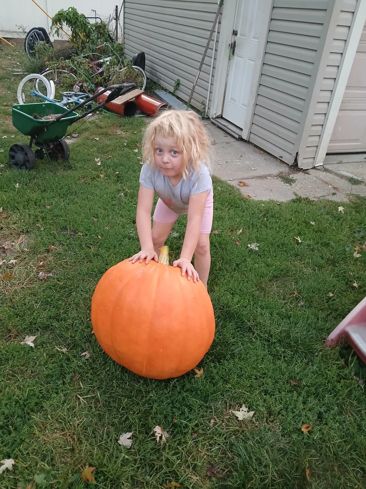 Community Medical Services - Photo 5